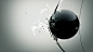 Shape Study, Circle on Behance