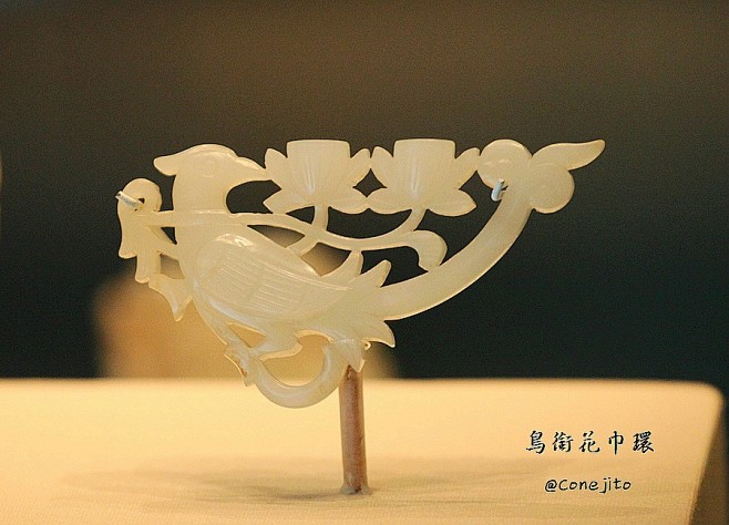 conejito的照片 - 微相册