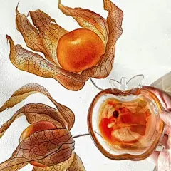水彩花卉植物 - 高清图片，堆糖，美图壁纸兴趣社区
