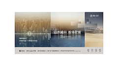 湿饼干采集到Y 用色