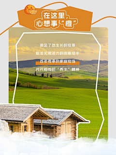 ظاهر查希尔采集到rkj小红书