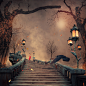 Photograph Fall of the autumn by Caras Ionut on 500px