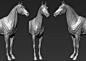 horse, A_ models : wip