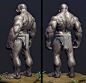  Anatomy Study - ORC