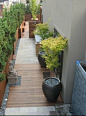 #modern #garden