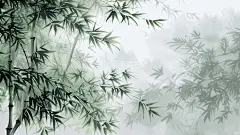 竹子水墨竹林中国风壁纸背景高清模板免费下载-趣麦麦图