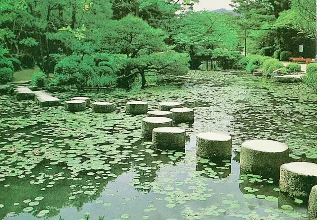 山东大江园林