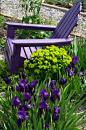 purple!
