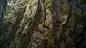 Mossy Rock, Ben Wilson : I got the chance to work with Jonas Ronnegard on his first Substance Masters Pack! I built a mossy rock material for the tutorial pack, with graph commenting, recordings of the development process and even some marmoset files for 