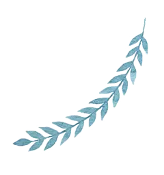 素材 手绘叶子png