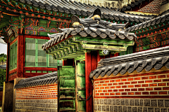 Amy慢慢采集到景