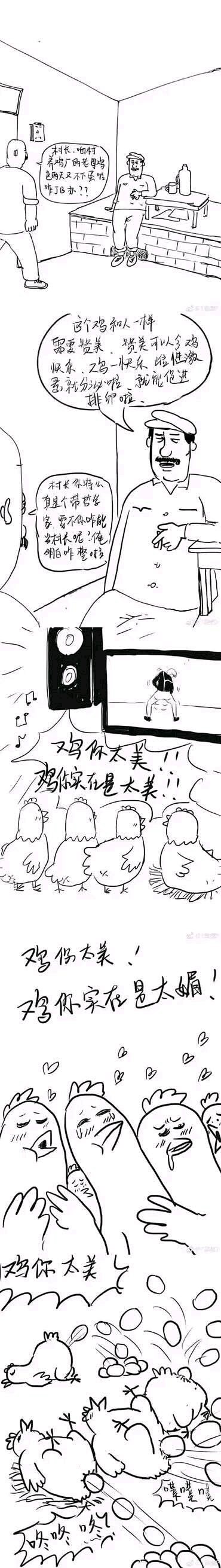 鸡你太美