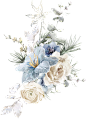 水彩清新花卉植物LOGO图标婚礼海报装饰透明免抠PNG图案装饰素材 (8)
