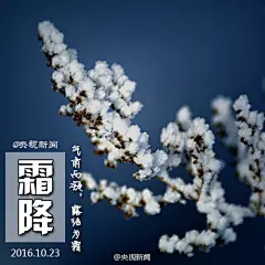 【今日，霜降】今日7时46分，霜降，隶属秋的最后一个节气，秋向冬过渡的开始。“寒露不算冷，霜降变了天”，霜降后天气逐步向冬天靠近，应适时增加衣物，注意下肢、腹部、足部保暖，老人小孩更要注意。霜降时节，天高云淡，枫叶尽染，适合外出秋游、登高赏景。下一个节气：立冬，冬天真的要来了…#24节气#