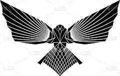 大乌鸦,秘密,华丽的,传统,鸟类,哥特式风格,乌鸦,身体绘画