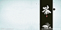 中国风 茶 画册 封面 设计