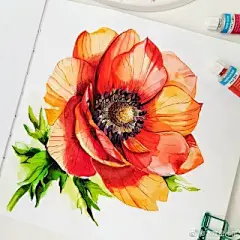 水彩花卉植物 - 高清图片，堆糖，美图壁纸兴趣社区