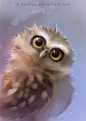 burrowing owl by *Apofiss on deviantART