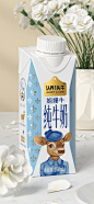要做消费者信任的好牛奶，牛的血统是关键。

娟姗牛奶是的高营养价值和稀缺性，使其始终与欧洲皇室名流有着千丝万缕的联系，面对追求品质的新一代消费者，喜鹊将其重新定位为“新贵新标配”。同时核心画面拉回利乐包的中心，创作拟人化形象。配以欧洲贵族服饰，让娟姗牛既是原料生产商，也是产品的形象大使之一。【完整案例在公众号】“喜鹊战略”，设计师齐树伟合作添加“picaqishuwei”