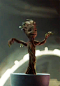据说树精已经成为了新一代萌神！I am Groot！