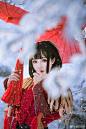 雪狸虹