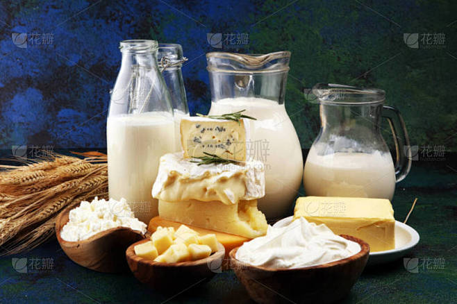 奶类背景下的不同健康乳制品