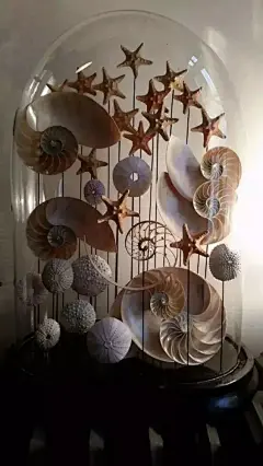 海边捡了很多贝壳，回家后这样处理简直美炸了_手机搜狐网
