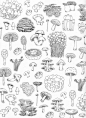 (793) Pinterest