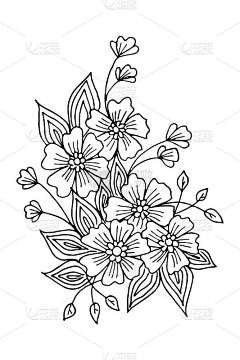 执笔绘佳人采集到线稿-黑白速写-插画花卉