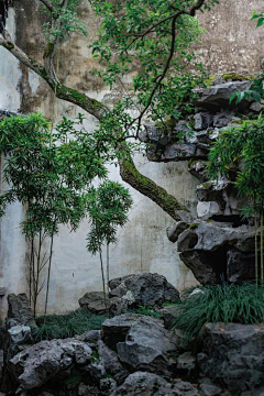 242-12采集到中国古典园林