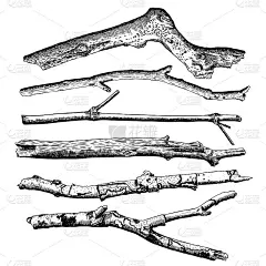 套浮木，底层手绘墨水乡村设计元素收集。干树枝和木枝。复古的高度详细的经典墨画捆绑艺术雕刻风格。向量。