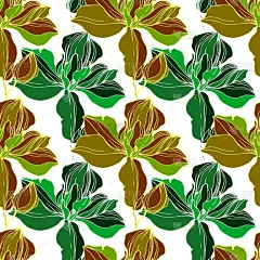 矢量绿色兰花。在白色查出的野花。雕刻的水墨艺术。无缝的背景模式。壁纸打印纹理.