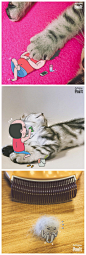 Ins上一位名为nu1t的账号，将照片和漫画虚实结合起来，或是卖萌，或是带有一点恶趣味，看起来太好玩了！ ​​​​