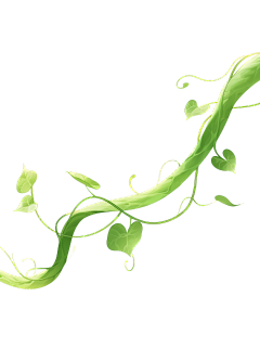 阿梵哒采集到植物png