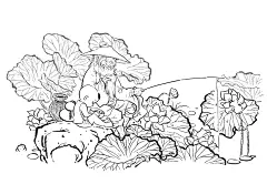 小4漫画：荷塘清趣