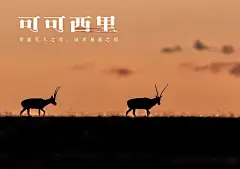 宣传海报-搜索结果-古田路9号-品牌创意/版权保护平台