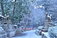 忘川未渡采集到场景