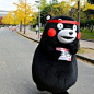 #酷MA萌# #kumamon#