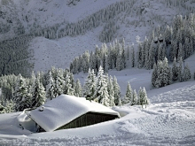 Martinzhsh采集到雪山美景