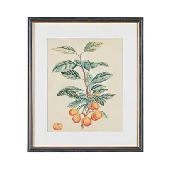 Tita 植物果实手绘装饰画 Ⅳ-美式装饰画-客厅装饰画,墙画,黑白装饰画-Harbor House家居
