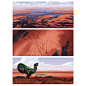 color sketches