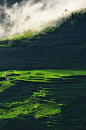 touchdisky:

Terrace rice fields Yuanyang by Kat wishes
