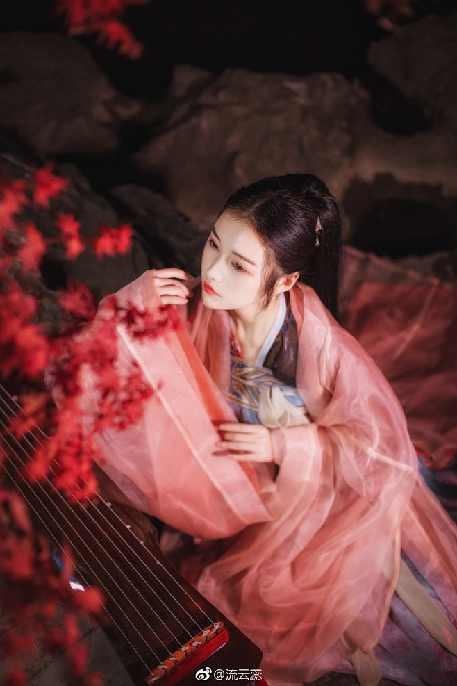 【倾城之姿】 皎皎兮似轻云之蔽月，飘飘兮...