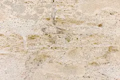 贝壳灰岩的背景