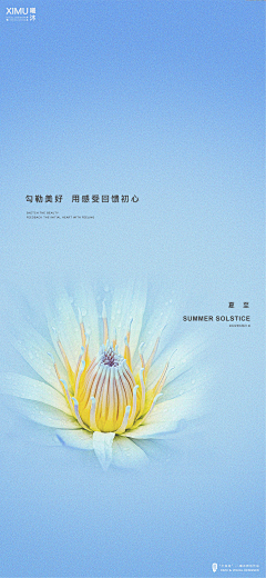 第二十九颗星球采集到节气海报