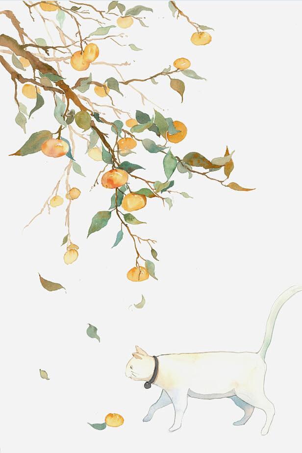 秋橘子与猫_大长鸦水彩__插画师作品_涂...