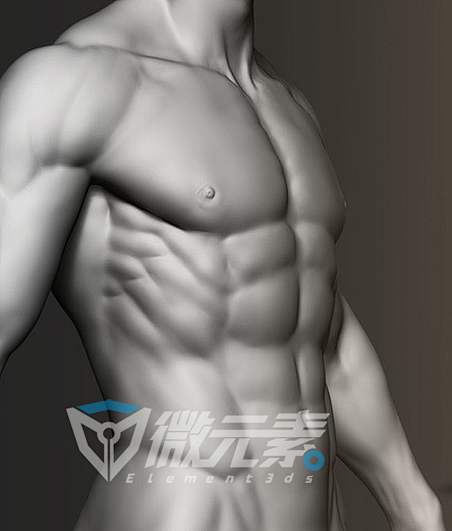 Zbrush人体解剖数字艺术终极训练视频...