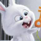 松果0906