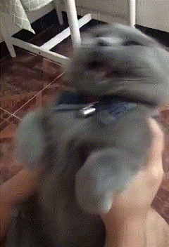 时笙睡不着采集到M-猫