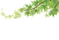 157103985